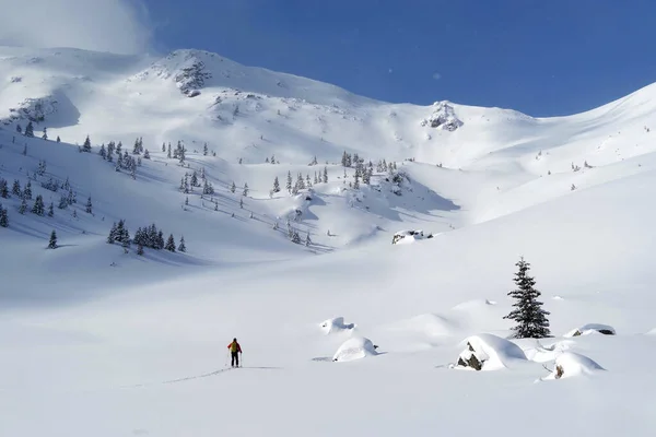 Ski Tour Godeanu Mountains Carpathians Romania Europe — Stock Photo, Image