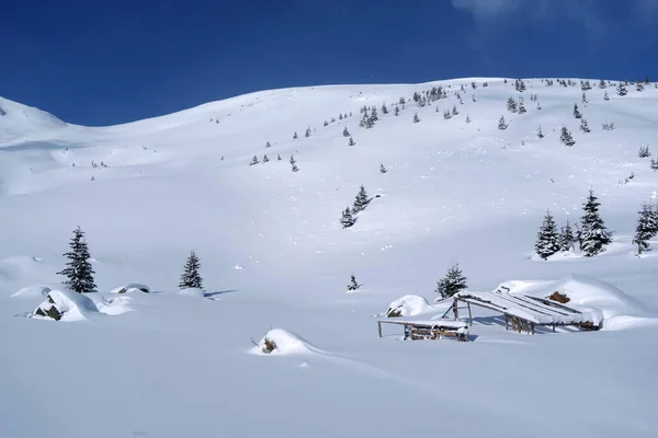 Winter Godeanu Gebirge Karpaten Rumänien Europa — Stockfoto