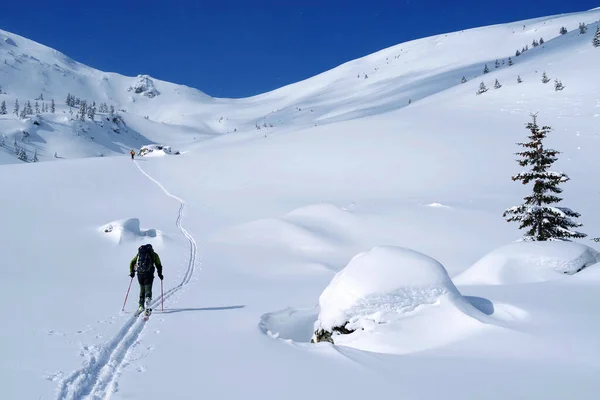 Ski Tour Godeanu Mountains Carpathians Romania Europe — 图库照片