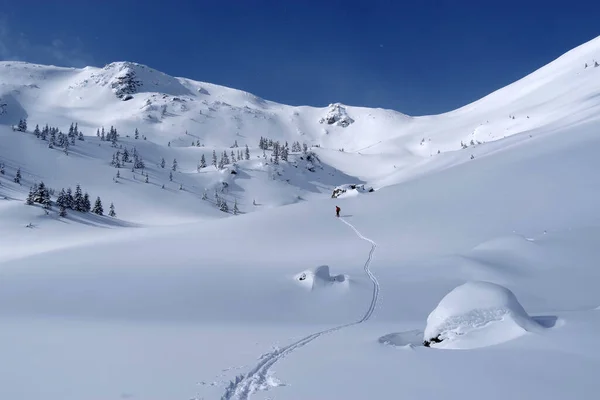 Skitour Godeanu Gebirge Karpaten Rumänien Europa — Stockfoto