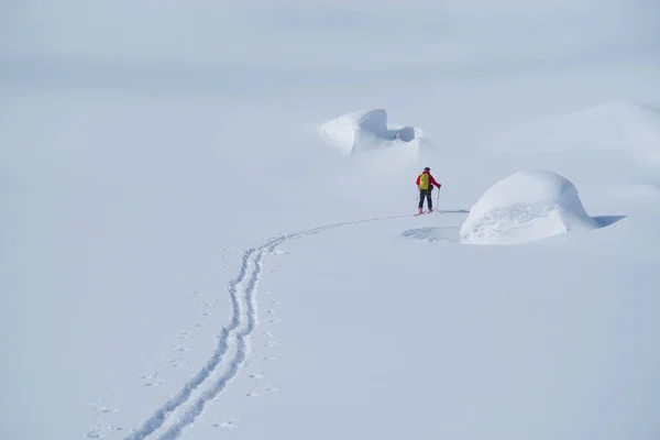 Ski Tour Godeanu Gebergte Karpaten Roemenië Europa — Stockfoto