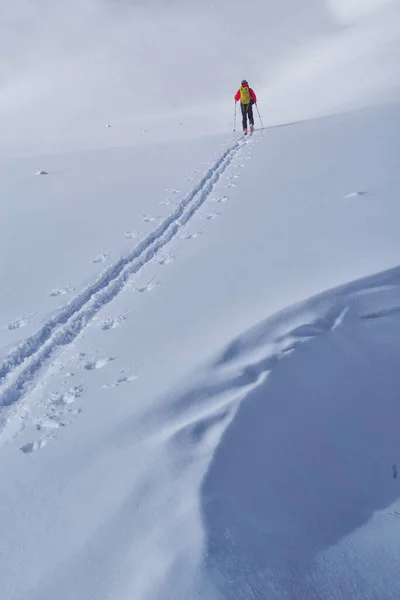 Ski Tour Godeanu Gebergte Karpaten Roemenië Europa — Stockfoto