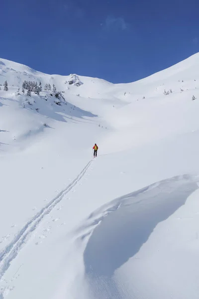 Skitour Godeanu Gebirge Karpaten Rumänien Europa — Stockfoto