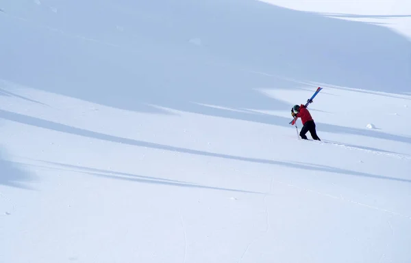 Circuit Ski Dans Les Monts Godeanu Carpates Roumanie Europe — Photo
