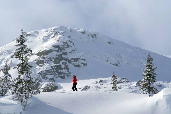 Ski Tour Godeanu Mountains Carpathians Romania Europe — Stock Photo, Image