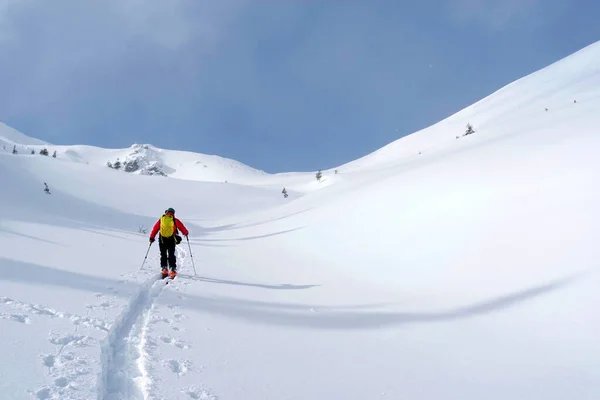 Ski Tour Godeanu Gebergte Karpaten Roemenië Europa — Stockfoto