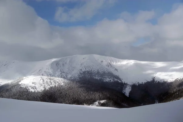 Hiver Godeanu Mountains Carpates Roumanie Europe — Photo