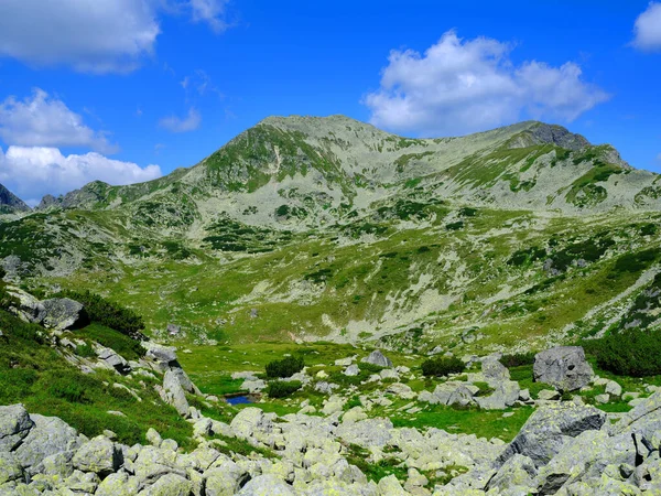 Sommer Alpine Berge Den Rumänischen Karpaten Retezat Berge Europa — Stockfoto