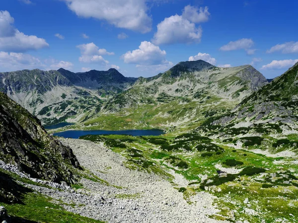 Καλοκαιρινό Αλπικό Βουνό Στα Ρουμανικά Καρπάθια Βουνά Ρετεζάτ Ευρώπη — Φωτογραφία Αρχείου