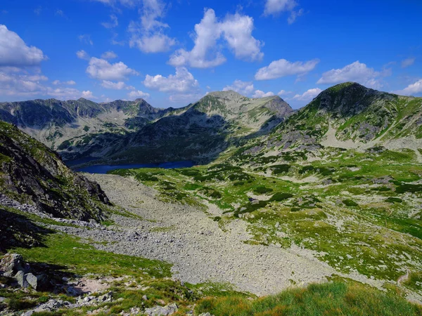 Καλοκαιρινό Αλπικό Βουνό Στα Ρουμανικά Καρπάθια Βουνά Ρετεζάτ Ευρώπη — Φωτογραφία Αρχείου