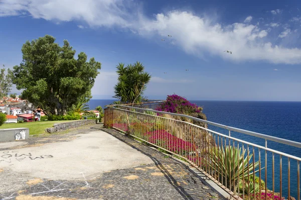 Camara de Lobos resort, Ilha da Madeira — Fotografia de Stock