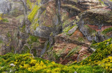 Madeira Adası Alp peyzaj