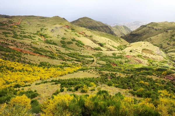 Paesaggio alpino nell'isola di Madeira — Foto Stock