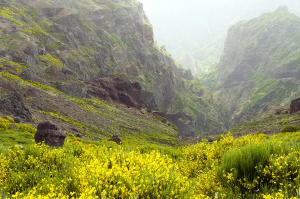 Alpine landschap op het eiland Madeira — Stockfoto