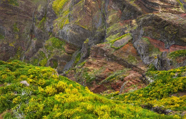 Альпійський ландшафт на острові Мадейра — стокове фото