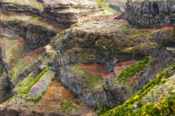 Альпійський ландшафт на острові Мадейра — стокове фото