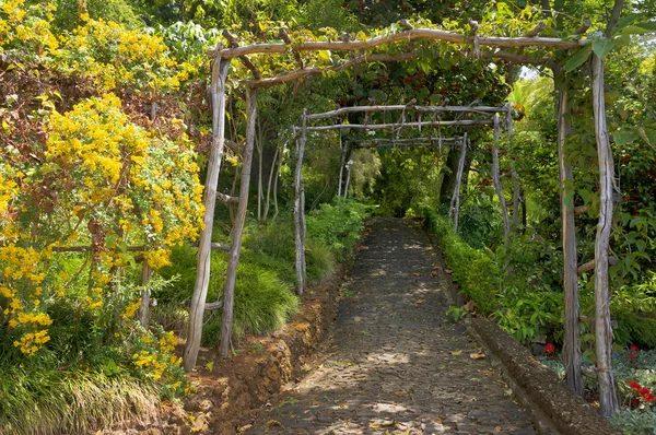 Tropická botanická zahrada Funchal — Stock fotografie