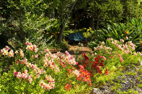 Trópusi Funchal botanikus kert — Stock Fotó