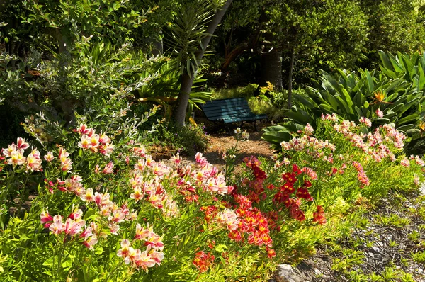 Orto botanico tropicale di Funchal — Foto Stock