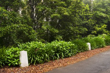 Madeira Adası Alp yol,