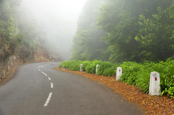 Strada alpina nell'isola di Madeira , — Foto Stock