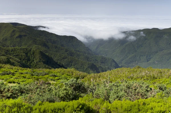 Paesaggio alpino nell'isola di Madeira — Foto Stock