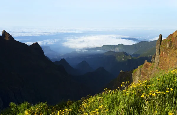Альпийский пейзаж острова Мадейра — стоковое фото
