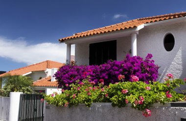 Canico de Baixo Resort, Madeira Adası