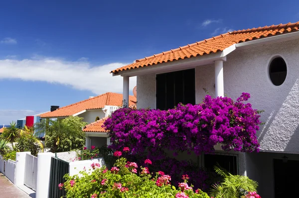 Canico de Baixo Resort, Isola di Madeira — Foto Stock