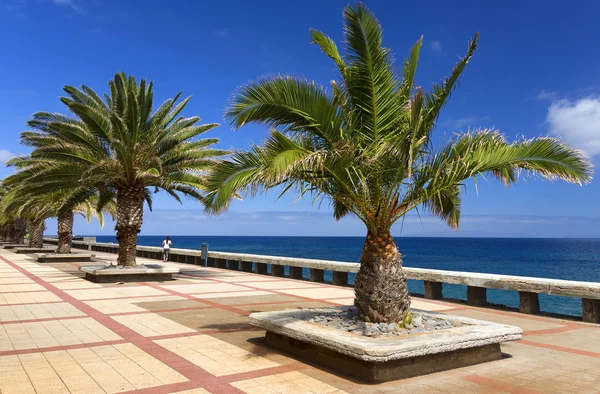 Canico de Baixo Resort, Isla de Madeira — Foto de Stock