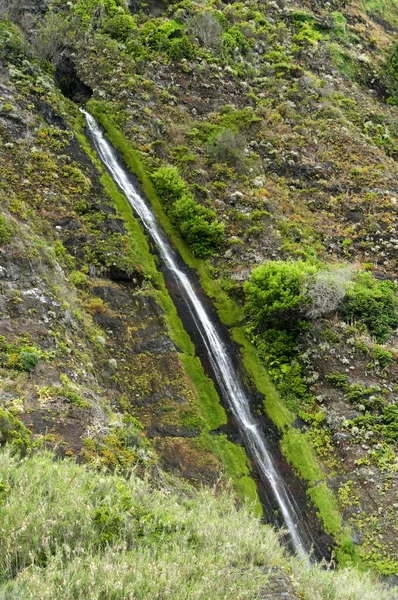 Waterfalls on the north coast of Madeira Island — Stock Photo, Image