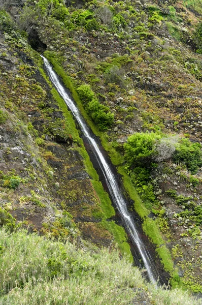 Cascate sulla costa nord dell'isola di Madeira — Foto Stock