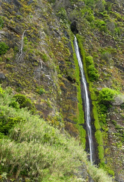 Watervallen op de zuidkust van Madeira Noordereiland — Stockfoto