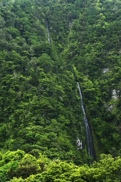 Watervallen op de zuidkust van Madeira Noordereiland — Stockfoto