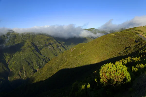 Гори острова Мадейра — стокове фото