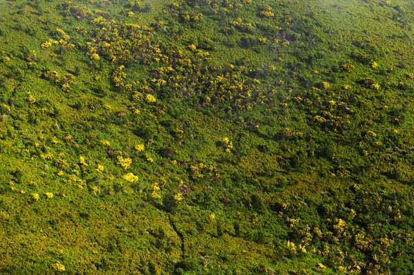 Montañas de la isla de Madeira — Foto de Stock