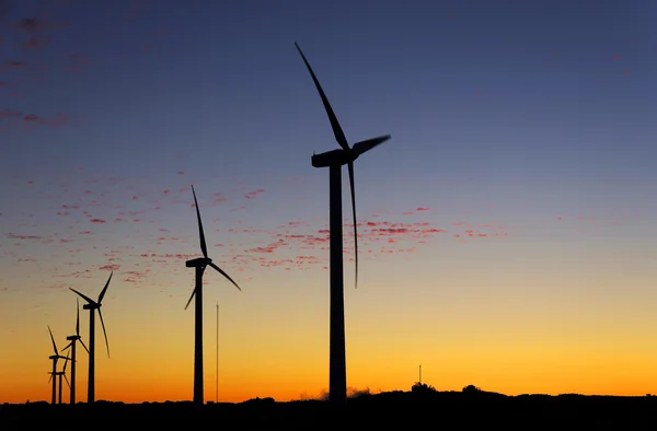 在葡萄牙的马德拉岛上的 windpark — 图库照片