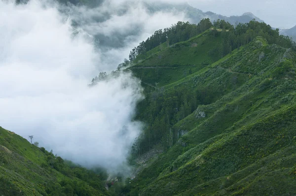 Madeira Adası'nın Dağları — Stok fotoğraf