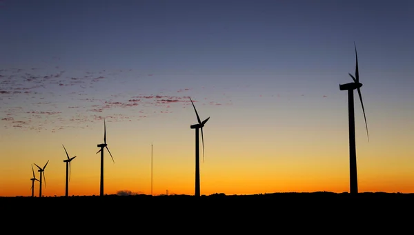 Windpark sur l'île de Madère, Portugal — Photo