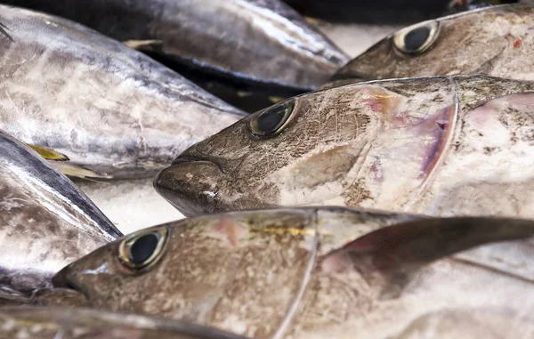 Mercato del pesce — Foto Stock