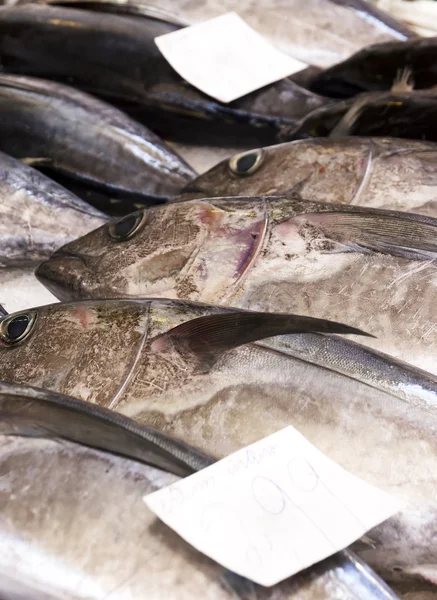 魚市場 — ストック写真