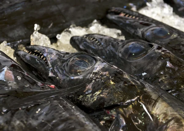 Mercato del pesce — Foto Stock