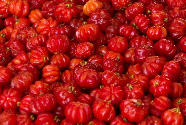 Ajíes rojos — Foto de Stock