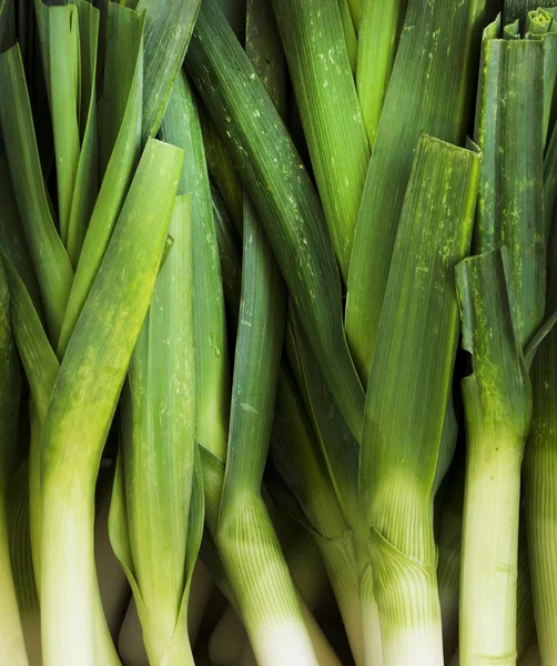 Újhagymával is ismert, mint a saláta hagyma, zöld hagyma vagy scallions — Stock Fotó
