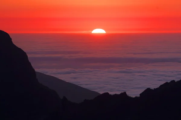 Alpine solnedgangslys på Madeira - Stock-foto