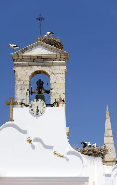 La Cattedrale di Faro — Foto Stock