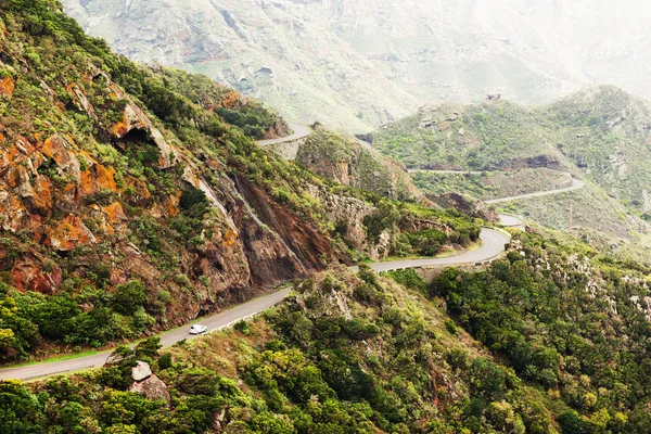 Kronkelige weg in Anaga bergen, Tenerife — Stockfoto