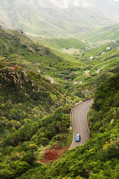 Kronkelige weg in Anaga bergen, Tenerife — Stockfoto