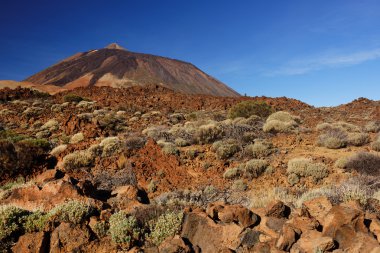 Nationaalpark Teide, tenerife