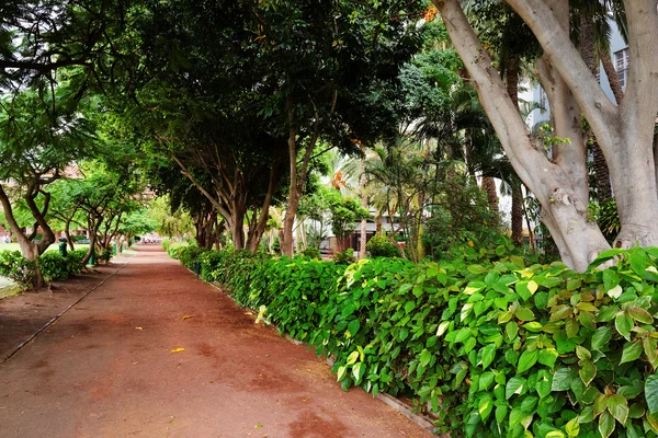 Callejero de San Sebastián de La Gomera, Islas Canarias, España — Foto de Stock